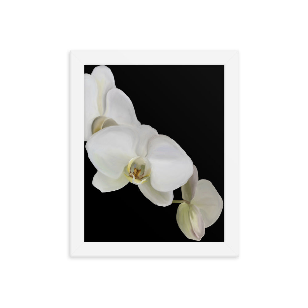 Casper’s Orchid  Framed poster