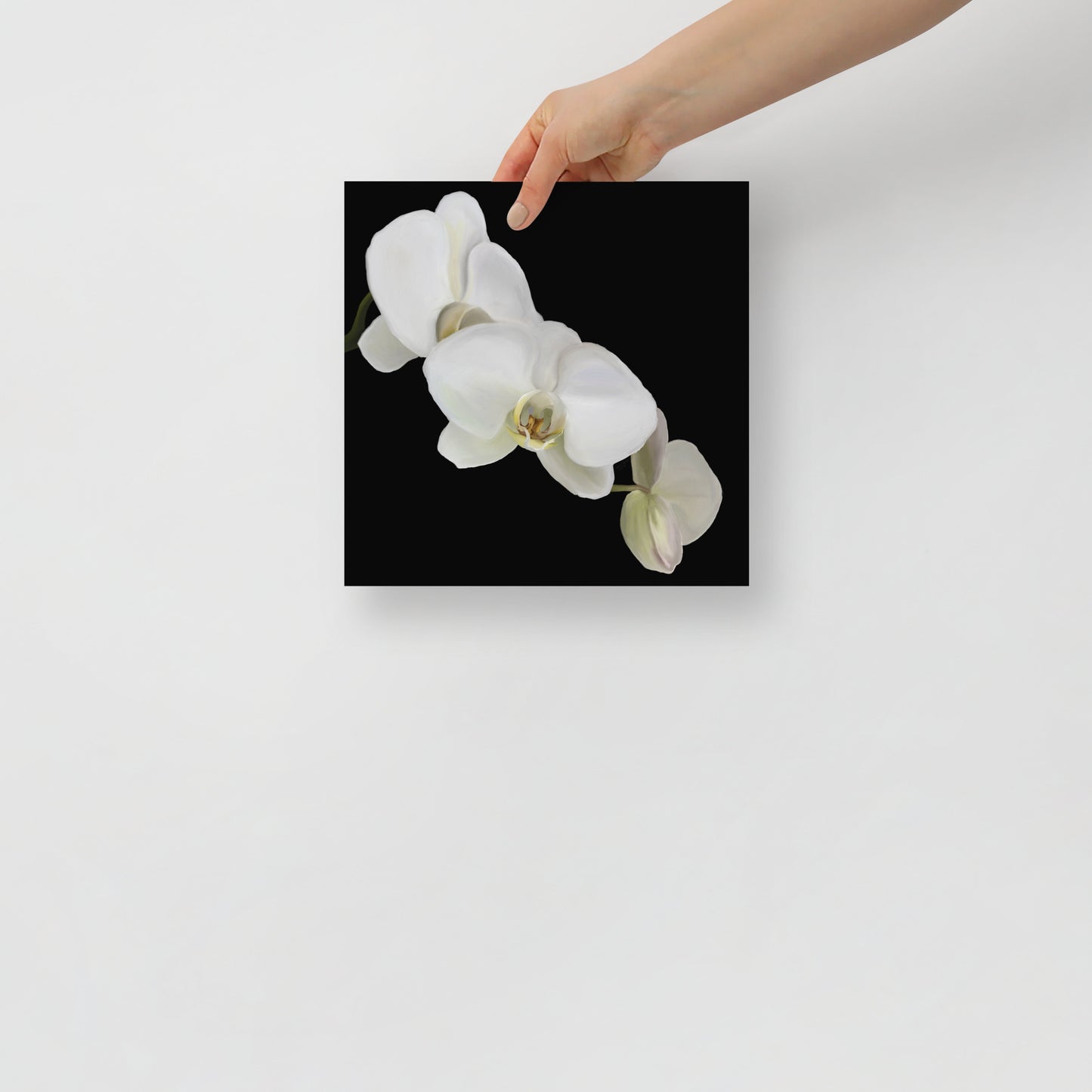 Casper’s Orchid Poster