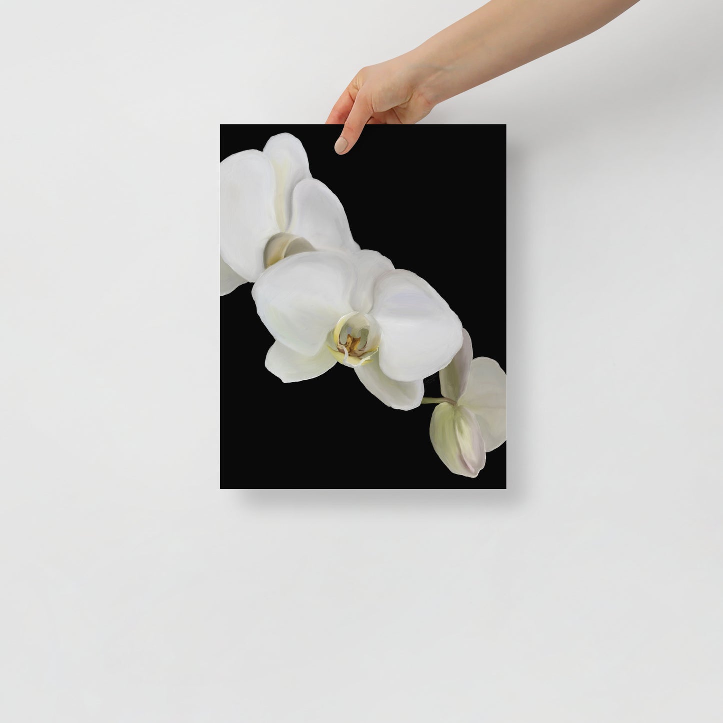 Casper’s Orchid Poster