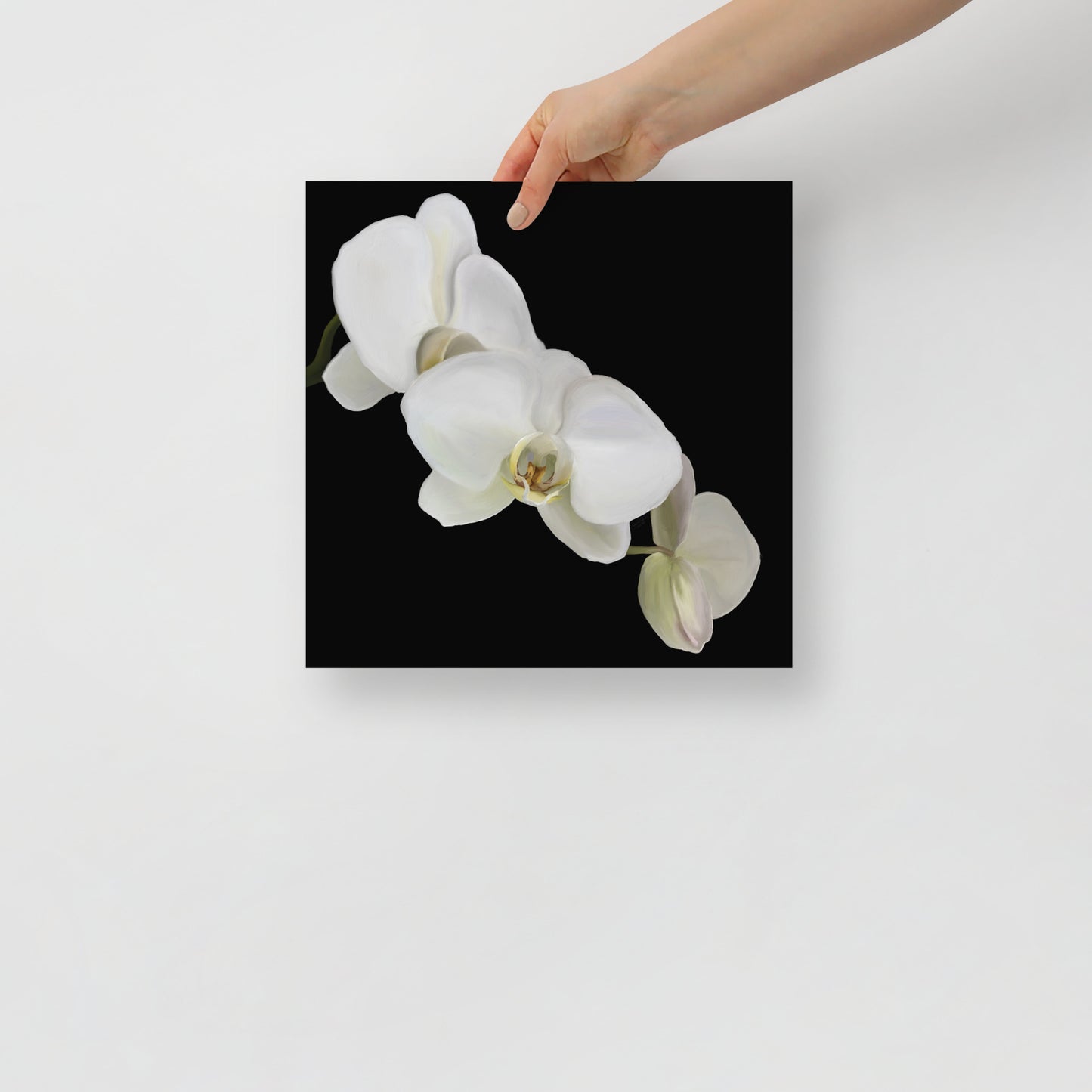 Casper’s Orchid Poster