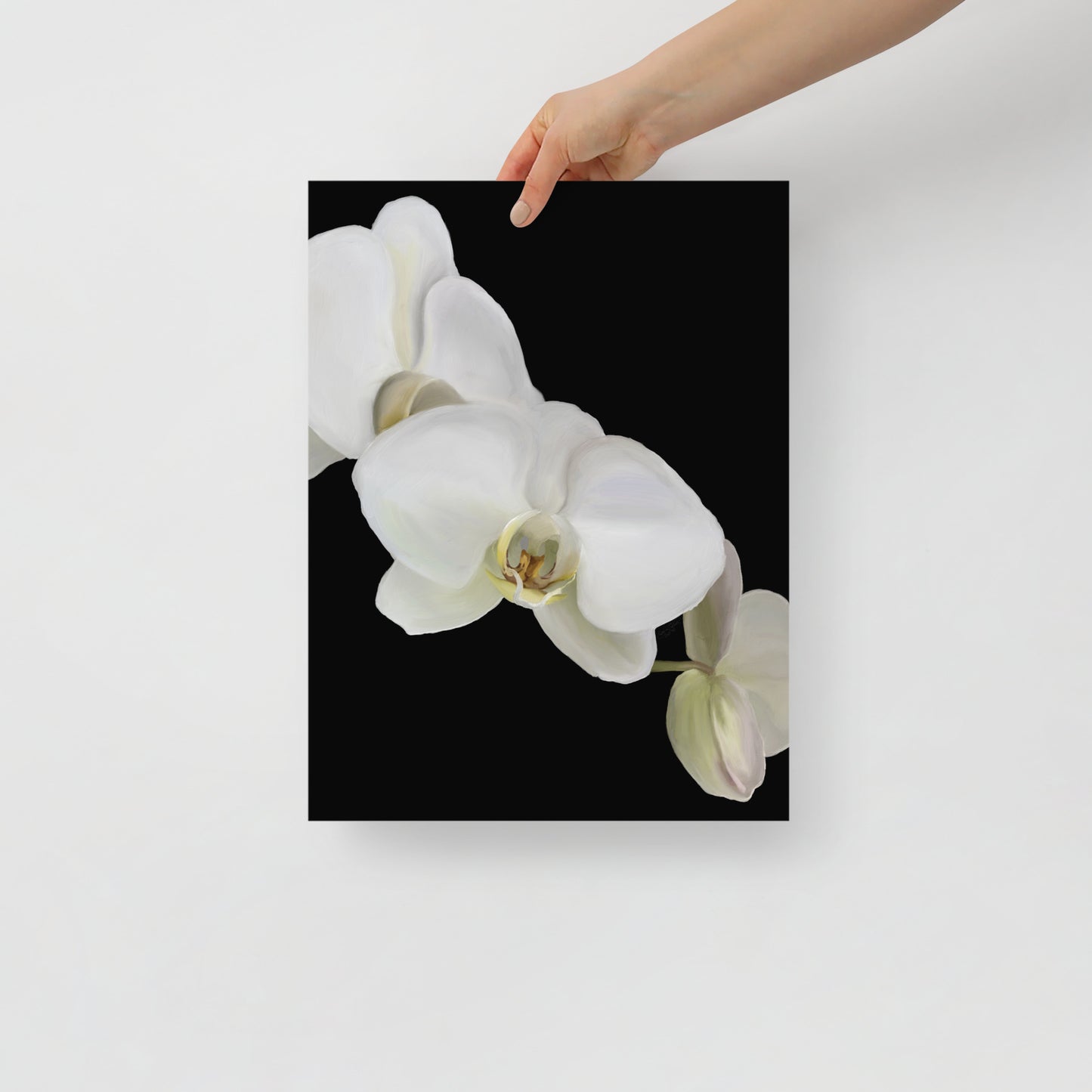 Casper’s Orchid Poster