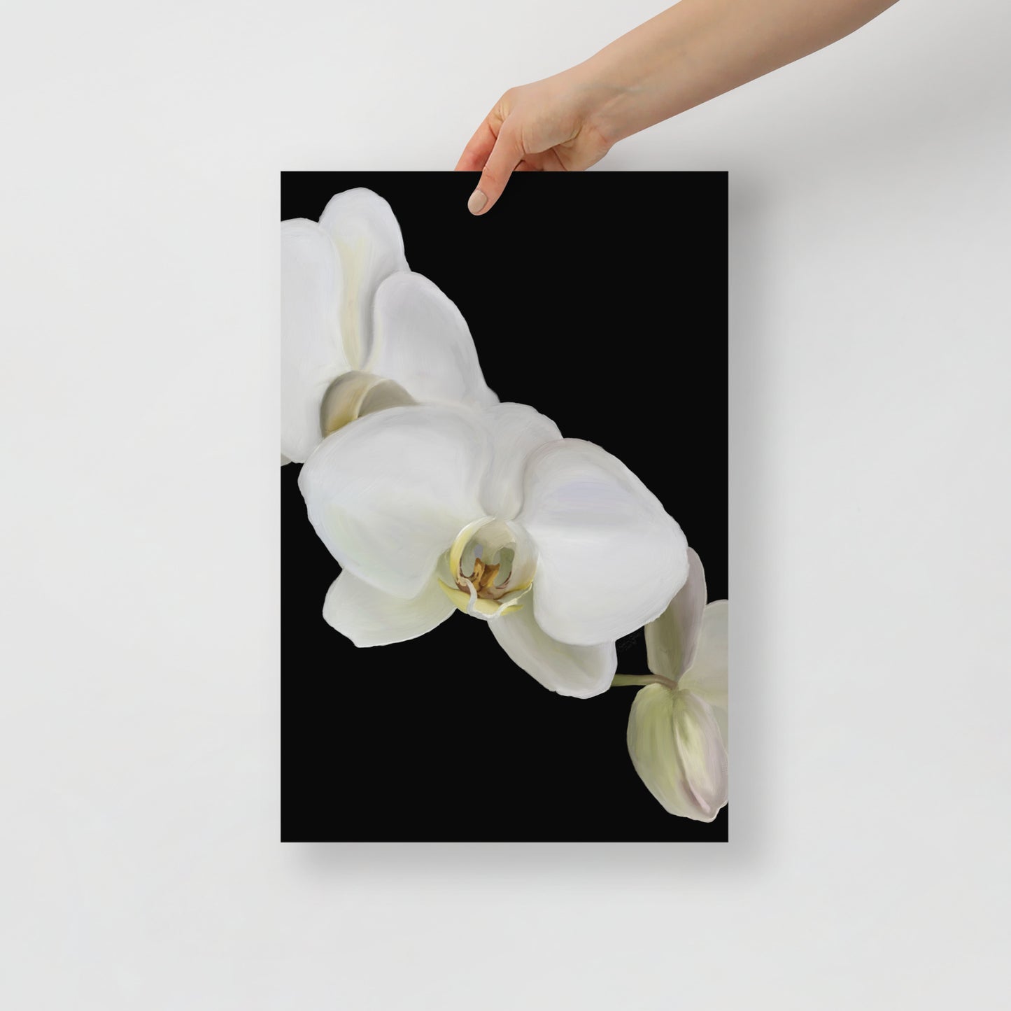 Casper’s Orchid Poster