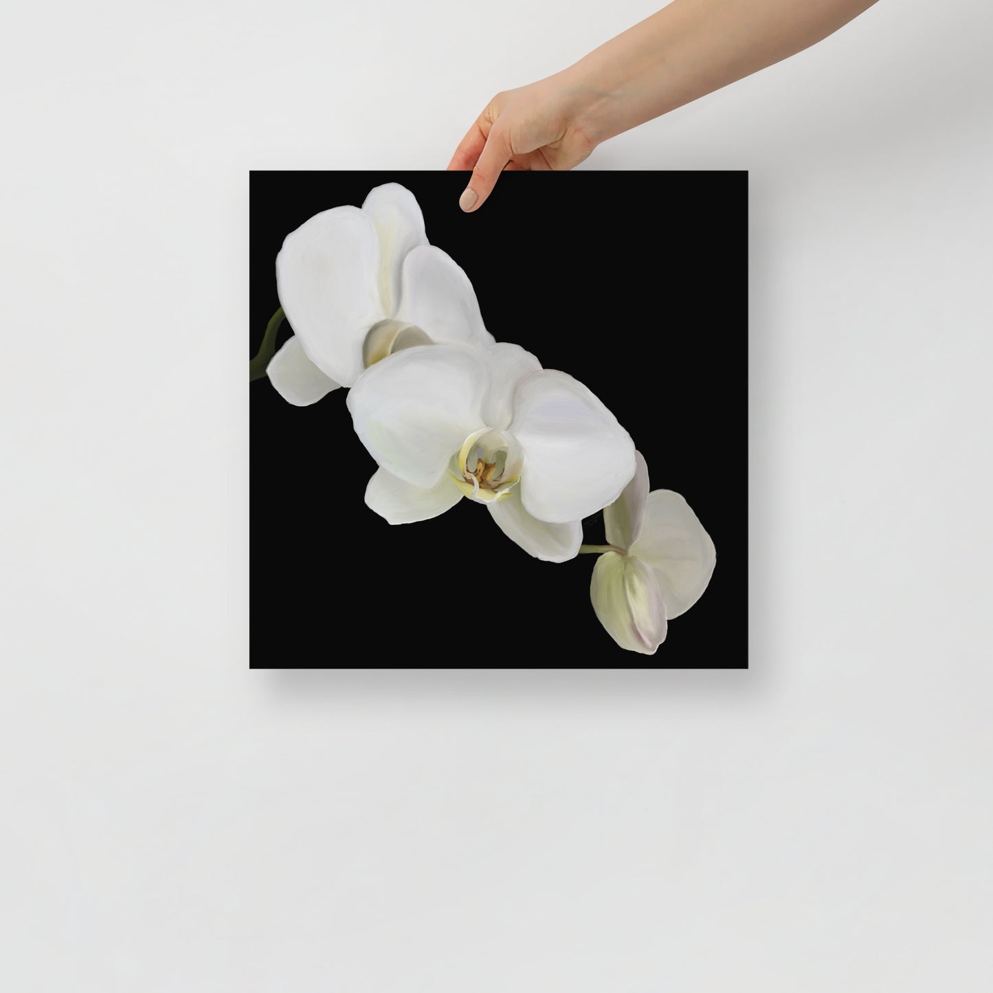 Casper’s Orchid Poster