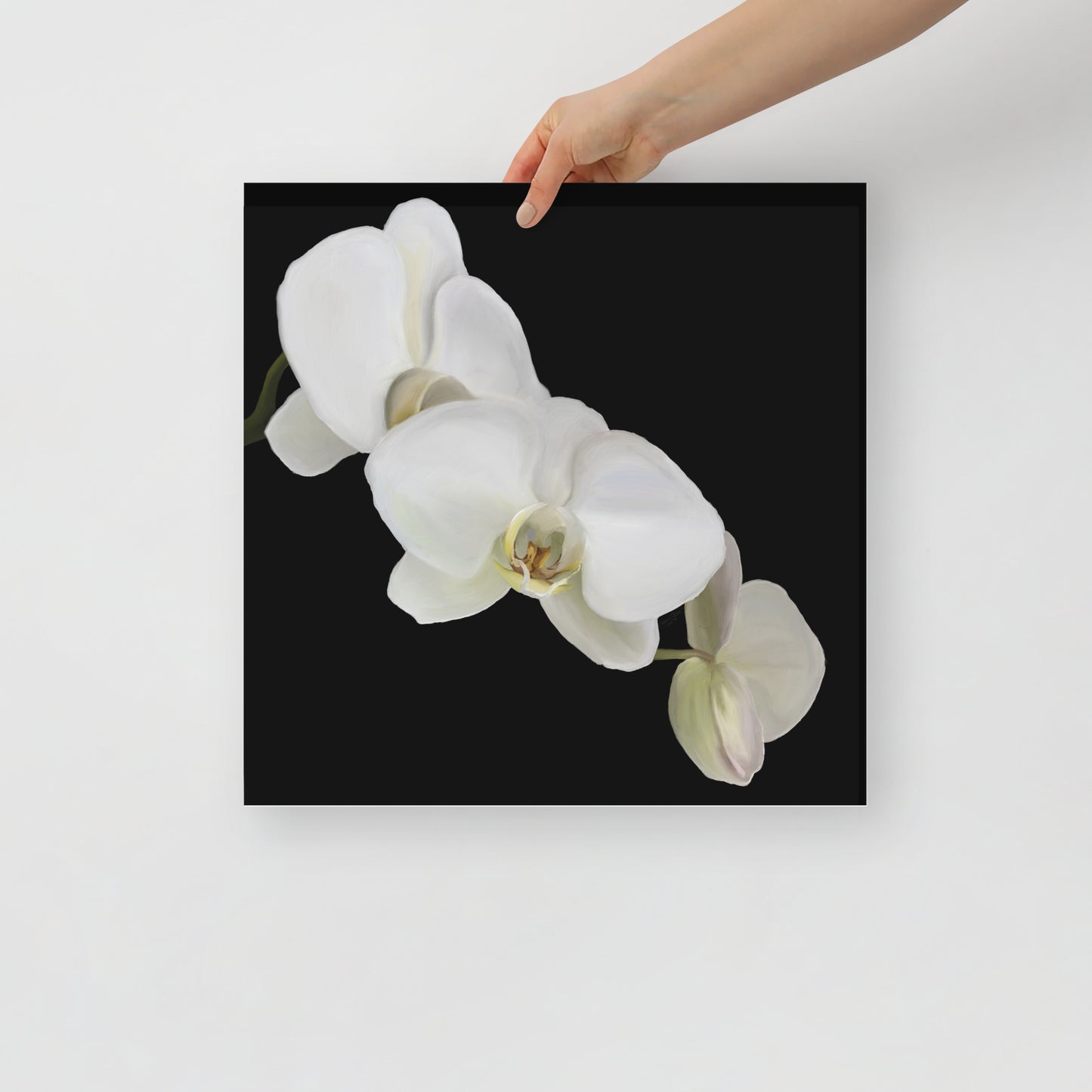 Casper’s Orchid Poster