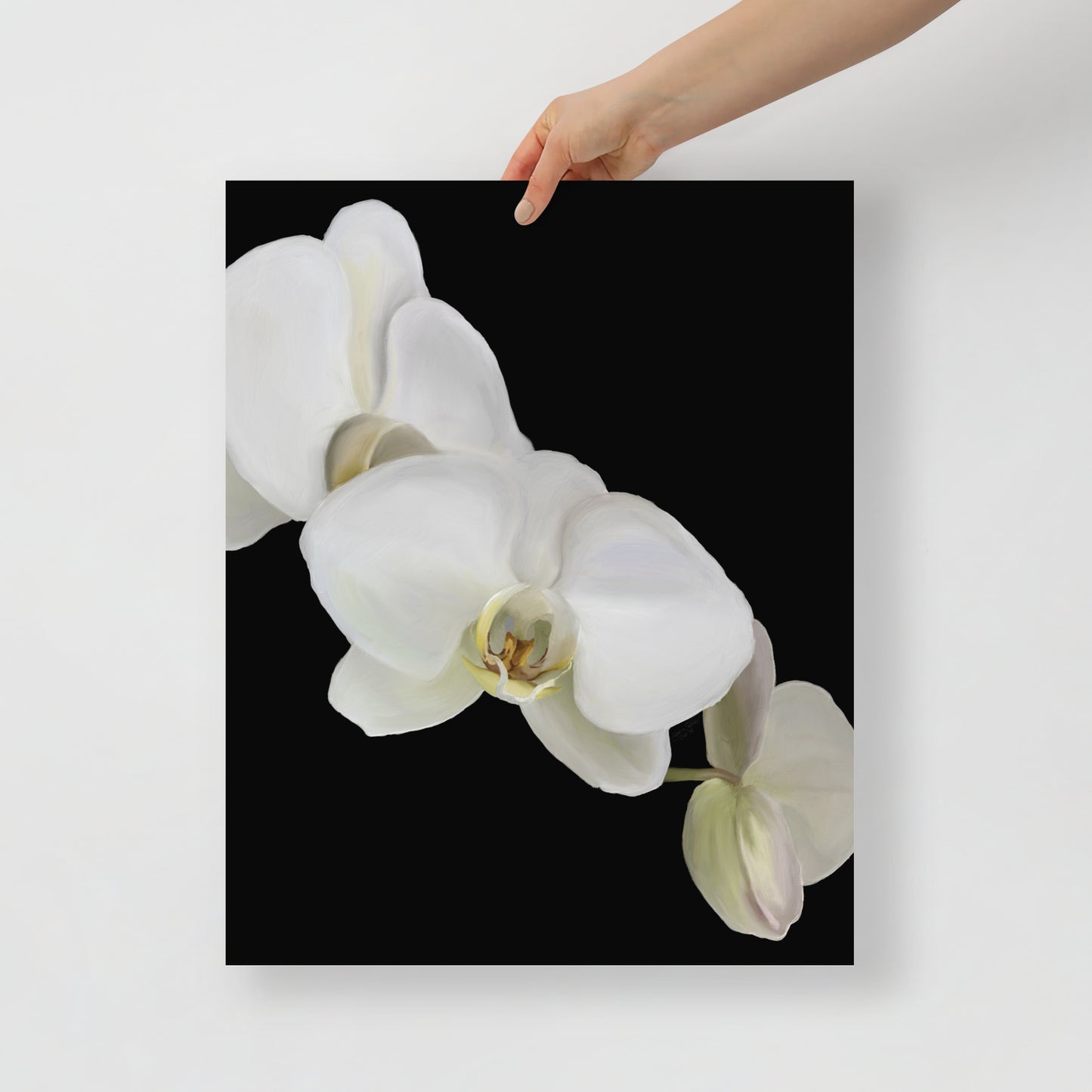 Casper’s Orchid Poster