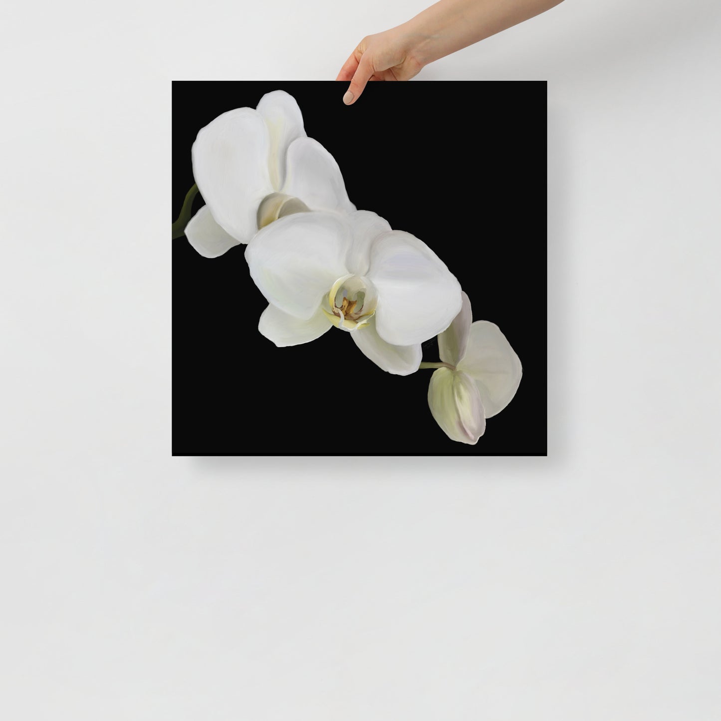 Casper’s Orchid Poster