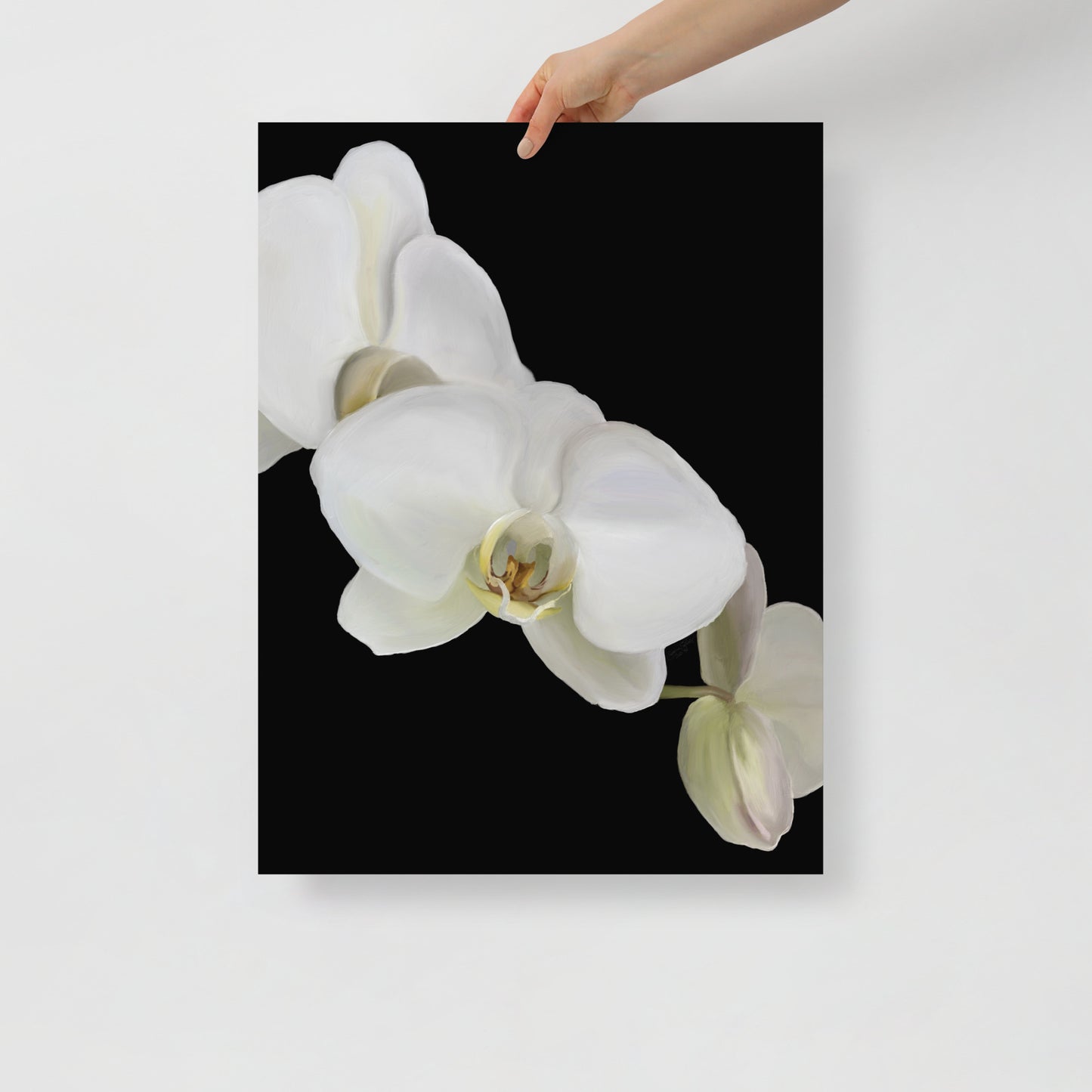 Casper’s Orchid Poster