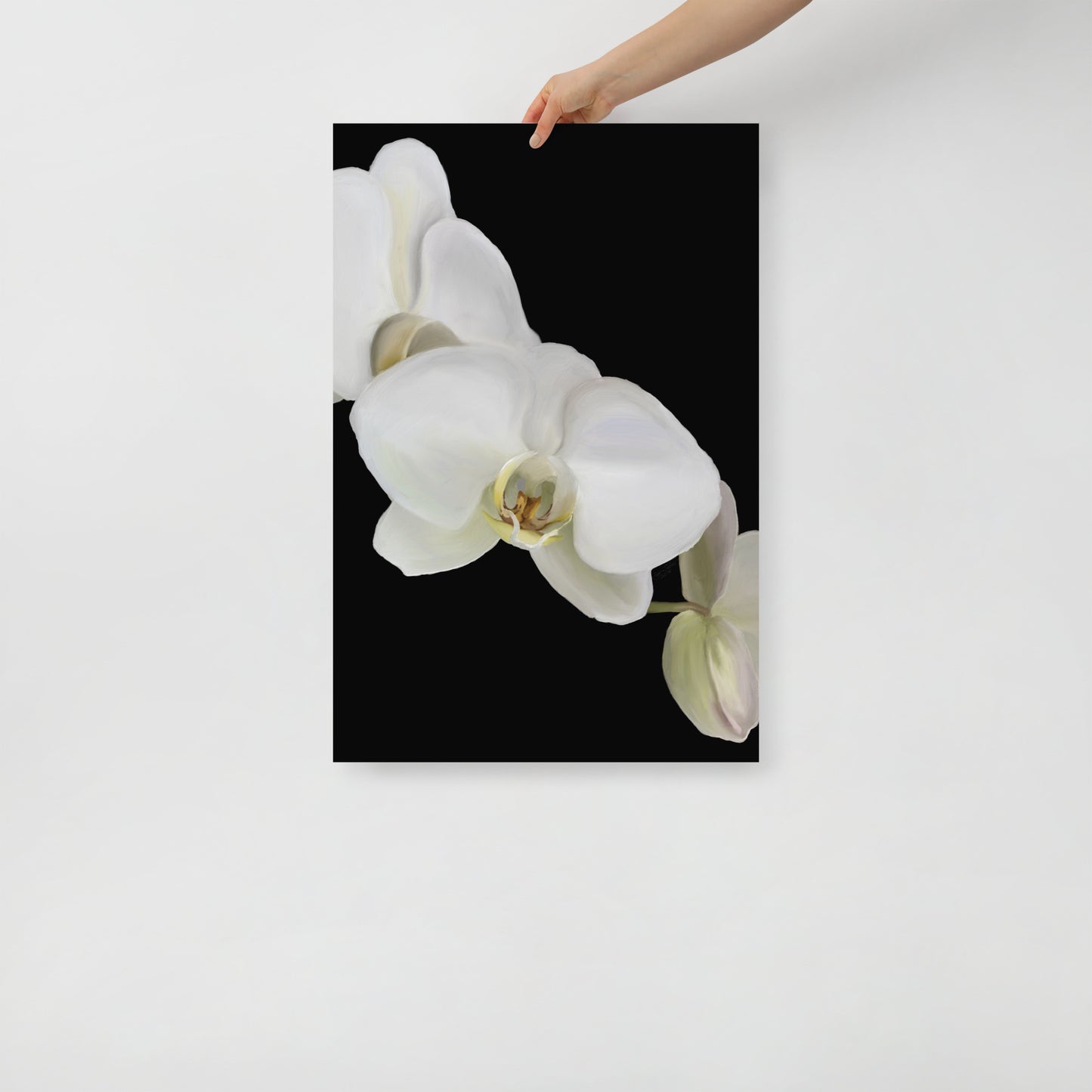 Casper’s Orchid Poster