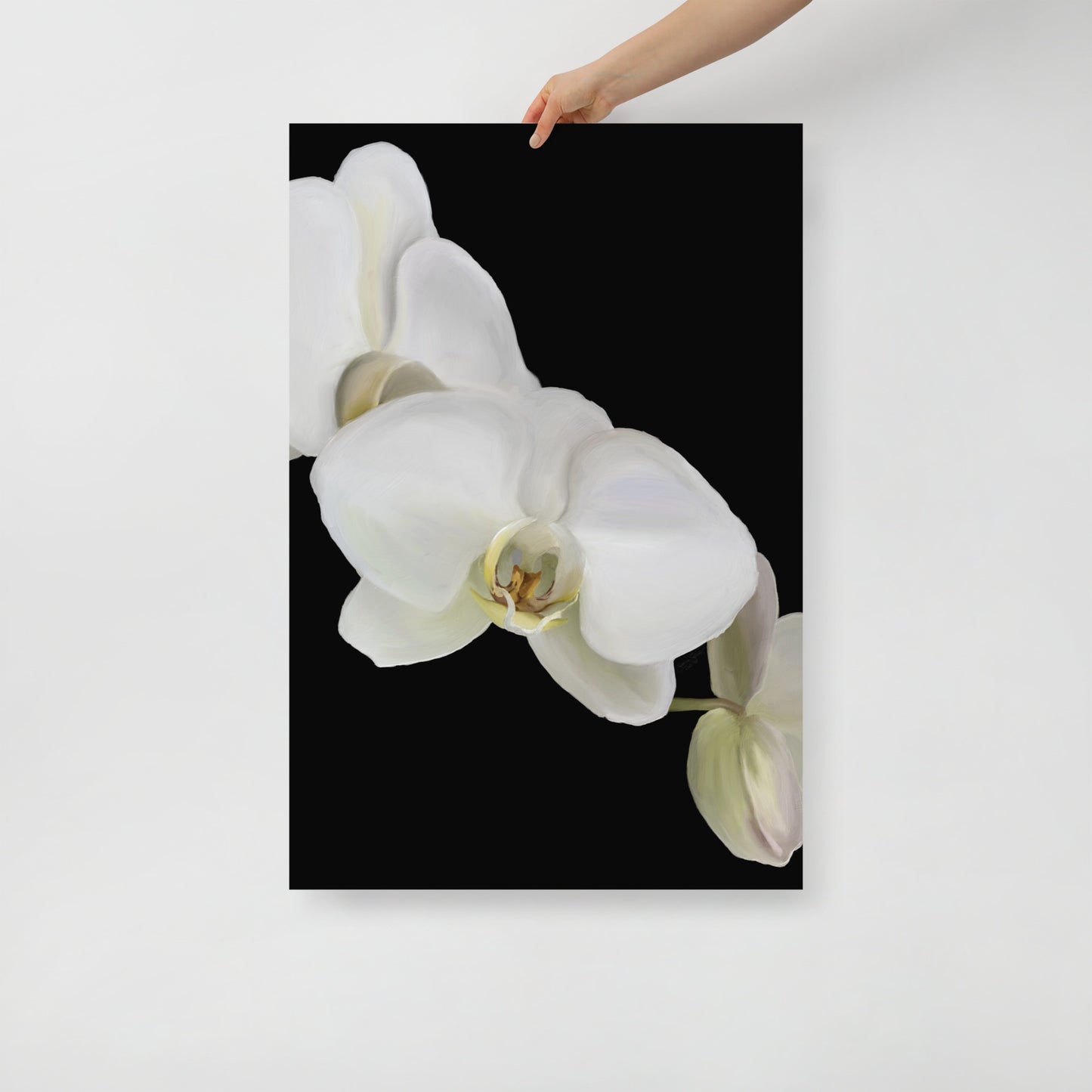 Casper’s Orchid Poster