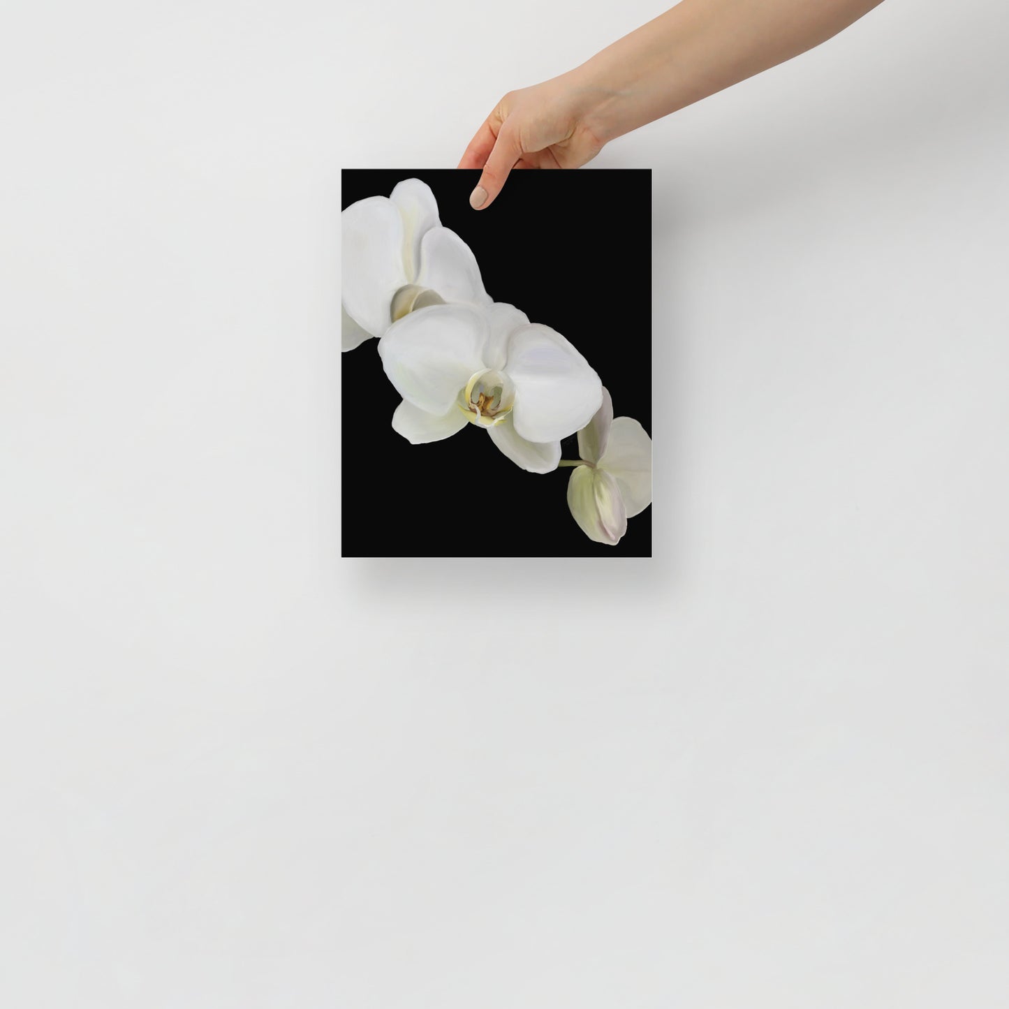 Casper’s Orchid Poster