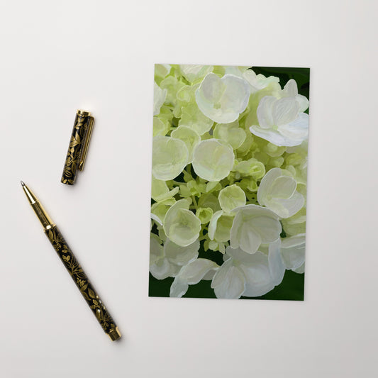 Jose’s White Hydrangea Standard Postcard